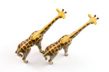 close-up shot of toy plastic giraffes on white background