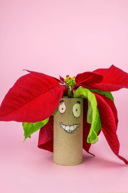 Boş top, banyo kağıt komik surat ve bitki pink izole