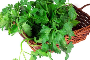 Beyaz Arkaplanda Taze Maydanoz Kompozisyonu