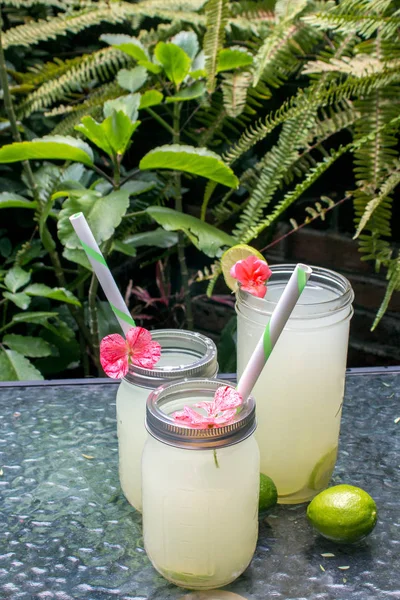 Lemonade Glass Jars Straws Limes Flowers — Stock Photo, Image