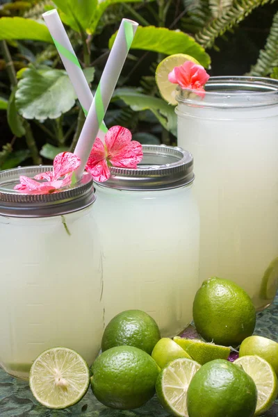 Limonade Glazen Potten Met Rietjes Limes Bloemen — Stockfoto