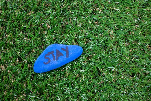 Beach Rock Painted with a Positive Note.