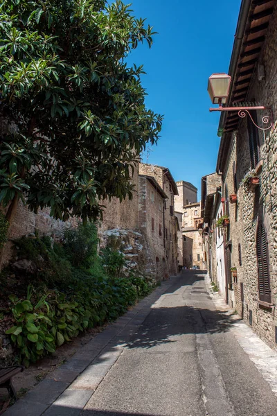 Calle Siena Antigua Ciudad Medieval Italia —  Fotos de Stock