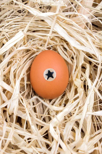 Brown egg in a nest with star sticker on it