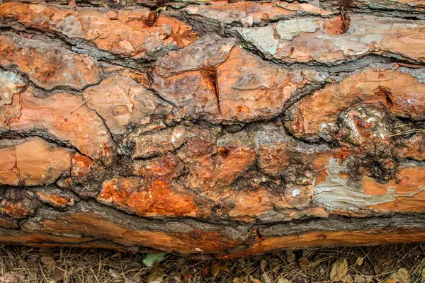 Arkaplan Için Ahşap Yüzeye Yakın Çekim — Stok fotoğraf