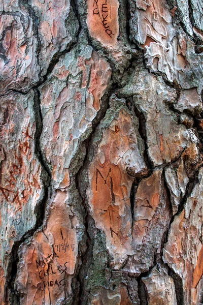 Arkaplan Için Ahşap Yüzeye Yakın Çekim — Stok fotoğraf