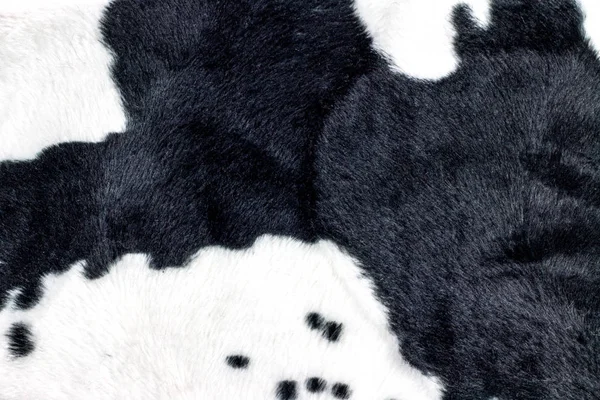 Texture Vache Noire Blanche Imprimer Tissu — Photo