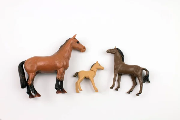 Close Shot Toy Plastic Horses Various Sizes White Background — Stok fotoğraf