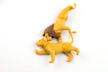 close-up shot of plastic toy lions on white background