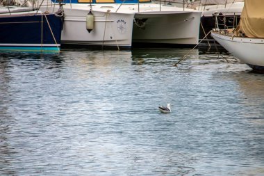 Martı Marina Barcelona.