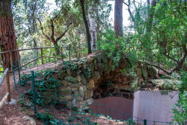 Antik saray bölgesindeki bahçenin manzaralı görüntüsü