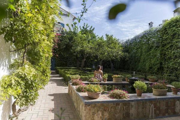 Patio Córdoba Patio Interior Con Multitud Plantas Diferentes Especies Fuentes — Foto de Stock