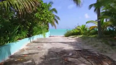 Sahile giden yol, denize giden ağaçlar arasındaki yol, beyaz kum ve turkuaz su.