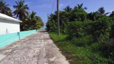 Sahile giden yol, denize giden ağaçlar arasındaki yol.