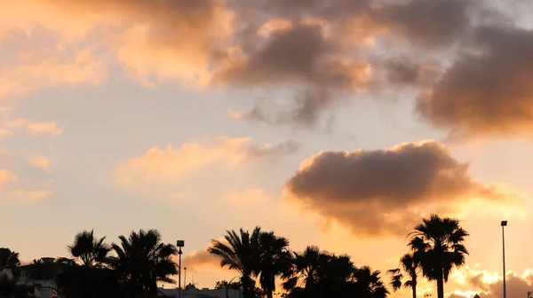 Orange Sky Sunset Silhouette Palm Trees — Stock Photo, Image