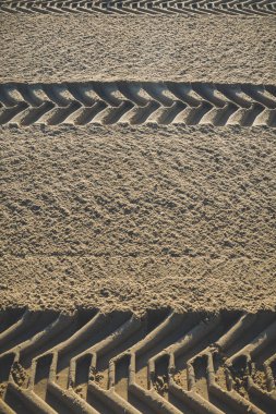 Sahildeki bir traktörün çapraz izleri.