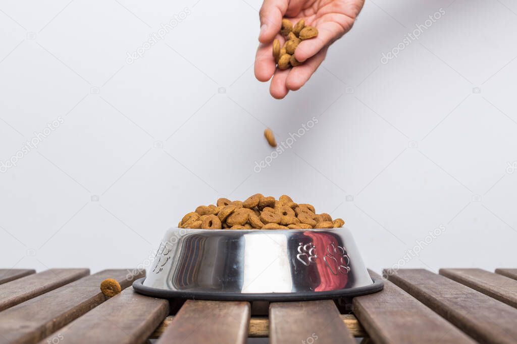 hand of a man pouring dog food into a silver bowl on a wooden table on a white background