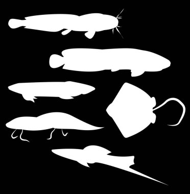 renk arka plan, basit vektör çizim üzerinde deniz hayvanları kümesi