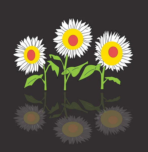 Fleurs Soleil Sur Fond Couleur — Image vectorielle