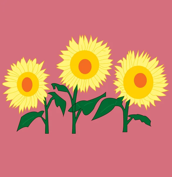 Fleurs Soleil Sur Fond Couleur — Image vectorielle