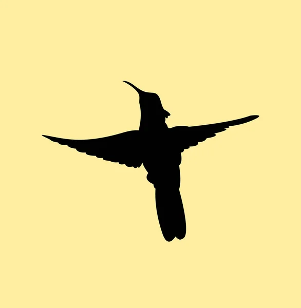 Kolibri Auf Farbigem Hintergrund Einfache Vektorillustration — Stockvektor