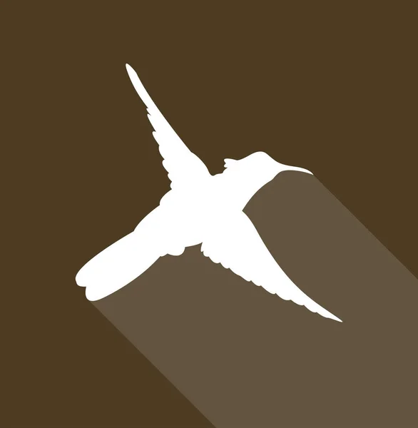 Kolibri Auf Farbigem Hintergrund Einfache Vektorillustration — Stockvektor