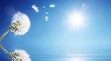 Güzel, rüya gibi bahar doğası.