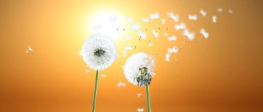 Güzel, rüya gibi bahar doğası.