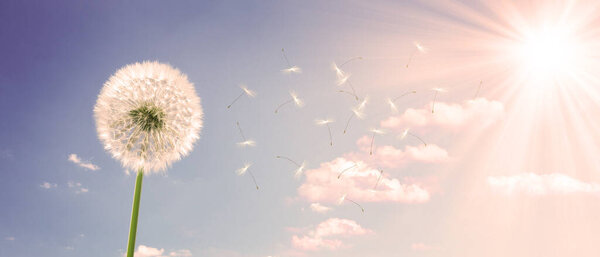 Мечтательная весенняя природа
