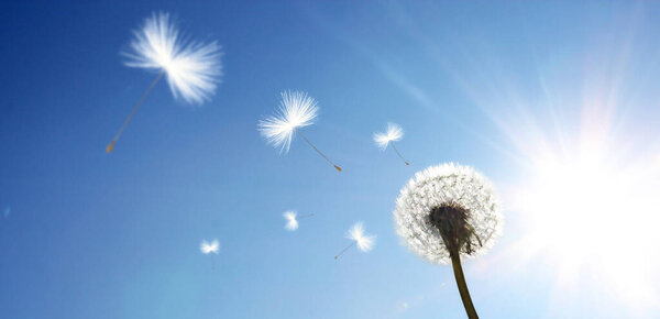 Мечтательная весенняя природа
