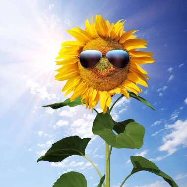 Ayçiçeği takan güneş gözlüğü takan bulutlu mavi gökyüzü ve parlak güneş ışığı