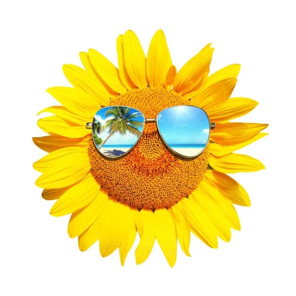 Isolerad Solros Med Solglasögon Och Glatt Ansikte — Stockfoto