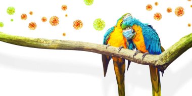 Corona virüsü salgını. Salgın zaman konseptinde seyahat