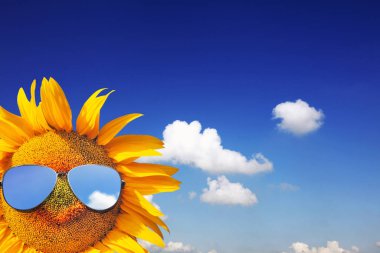 Ayçiçeği takan güneş gözlüğü takan bulutlu mavi gökyüzü ve parlak güneş ışığı