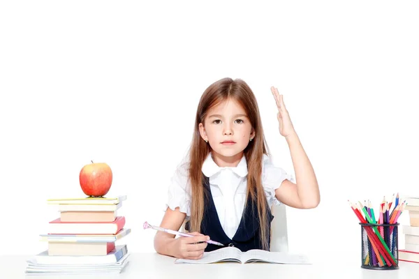 Torniamo Scuola Concetto Istruzione Lettura Apprendimento — Foto Stock