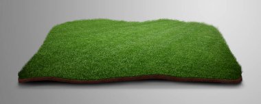 Deri top ile geleneksel futbol oyunu