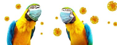 Corona virüsü salgını. Salgın zaman konseptinde seyahat