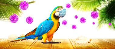 Corona virüsü salgını. Salgın zaman konseptinde seyahat