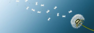 Karahindiba ile güzel rüya gibi bahar doğası arka planı