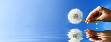 Karahindiba ile güzel rüya gibi bahar doğası arka planı