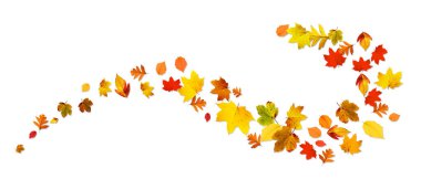 Sarı ve kırmızı yapraklı güzel sonbahar arkaplanı.