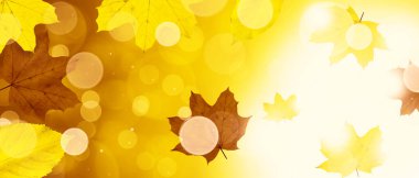 Sarı ve kırmızı yapraklı güzel sonbahar arkaplanı.