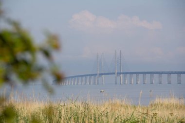 İsveç 'in Malmö kıyısındaki sisli yaz sabahında Öresund köprüsü neredeyse mavi görünüyor.