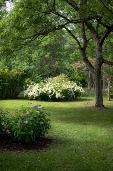 Sveç Güneyindeki Alnarpsparken Parkında Çiçek Açan Bitkiler Ağaçlar Telifsiz Stok Fotoğraflar