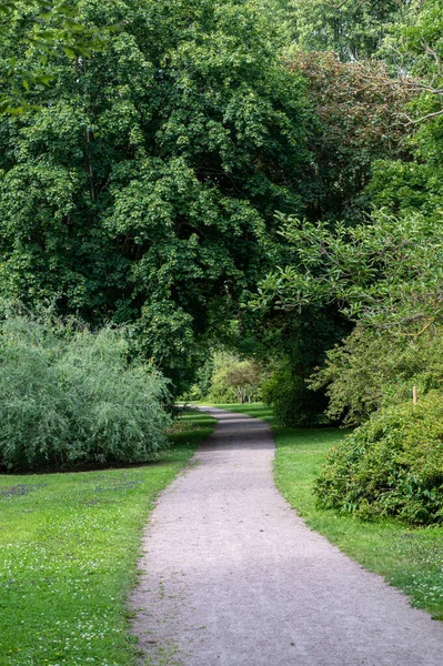 Een Grindpad Kronkelt Zich Een Weg Door Het Groene Park — Stockfoto