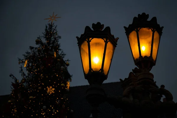 Warm cozy light of an old electric street lamp in front of a big Christmas tree at the town square in Lund, Sweden