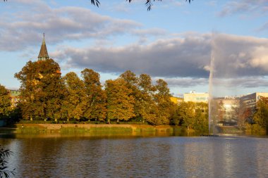 Parktaki ağaçlar Malmö 'de Pildammsparken Sonbahar günbatımında güneş ışığı