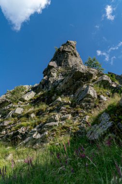 İspanya 'nın Moncayo bölgesindeki tipik kayalık dağ zirvesi. Dağda gösterişli çiçekler var.