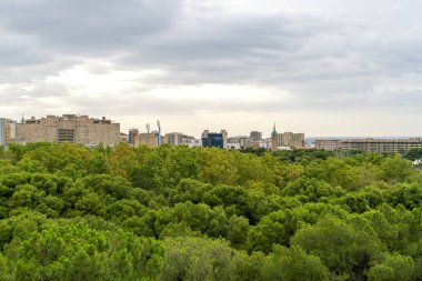 Parque Grande Jos Antonio Labordeta İspanya 'nın Zaragoza kentinde yer alan bir parktır. 