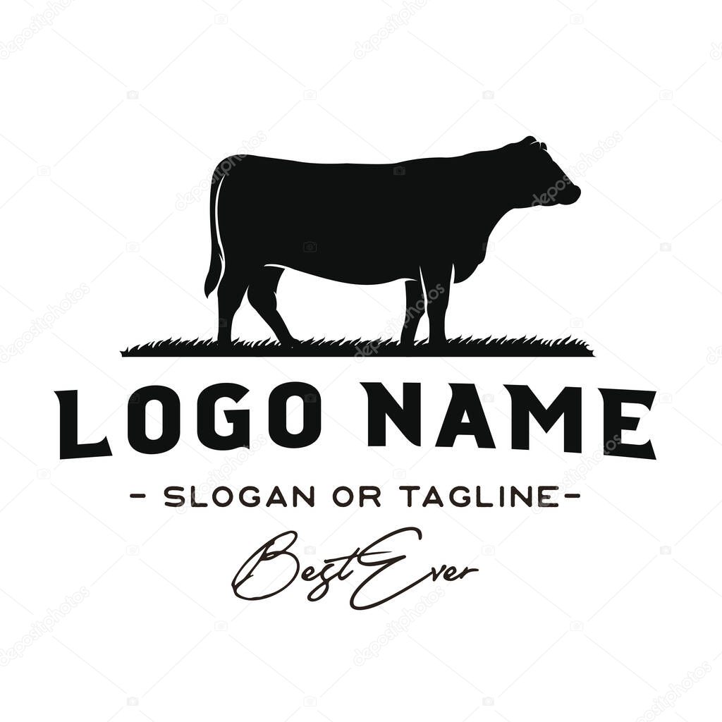 Angus, Angus Beef, Vintage Cattle / Beef logo design inspiration vector